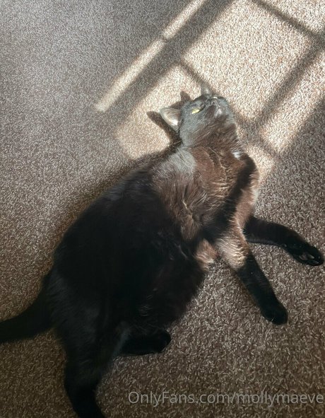 sperma auf großen titten onlyfans sexy hübsche bilder