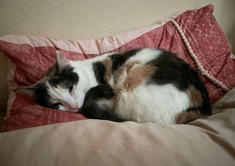 fitness-sex onlyfans hd erwachsene bilder