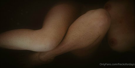 frecksfordays exklusive schöne galerien