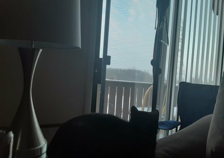 gesicht nur fans freie nette foto