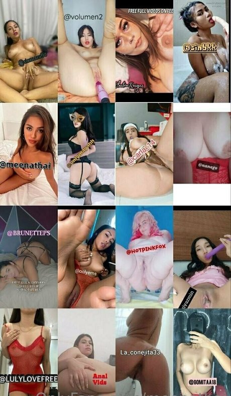 meenathai beste freie foto