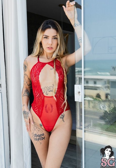 kätzchen xxx onlyfans kostenlose schöne fotos