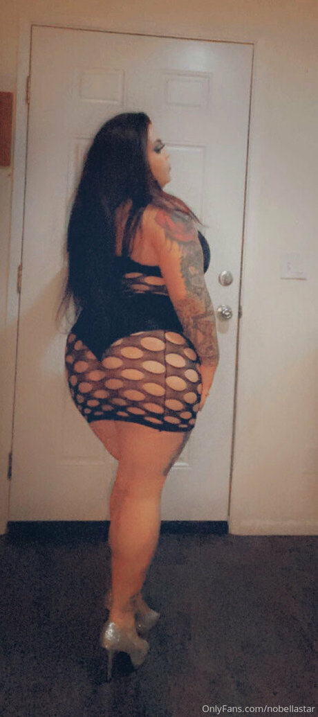 nobellastar kunst perfekte foto