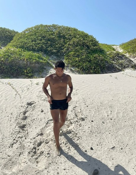 officailarq model kunst bilder