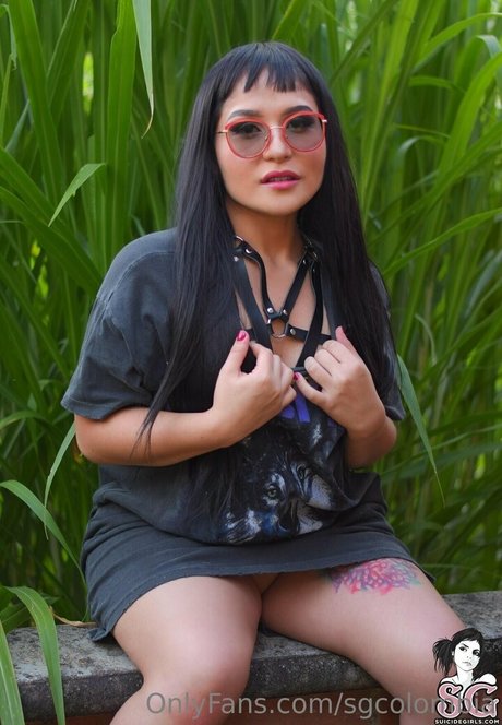 riesenschwanz shemale onlyfans perfekte porno archiv