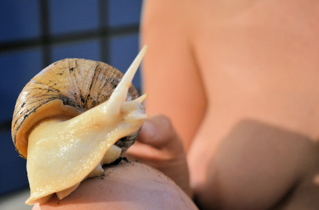 helensmith pornostar schöne bild