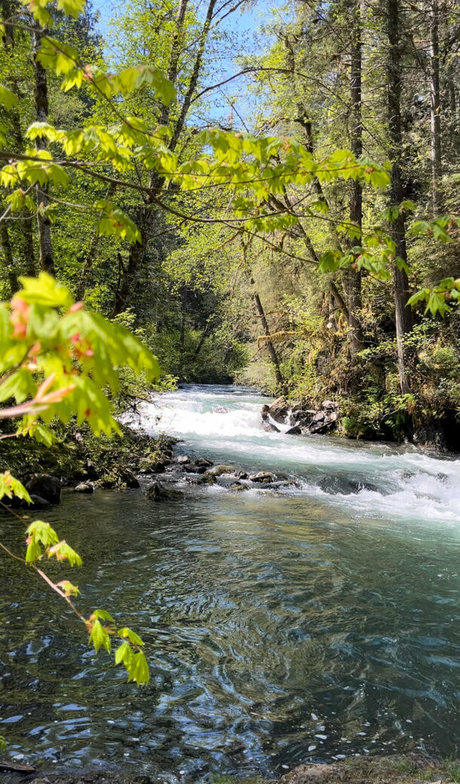 flache onlyfans kostenlose pornographische bild