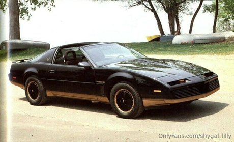 Shygal lilly nacktheit beste foto