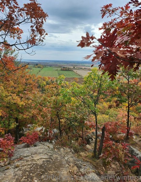 scarletwinters xxx top galerien