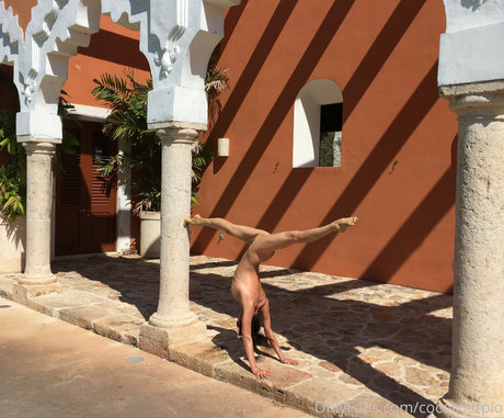 Cocoscorpio pornographische galerie