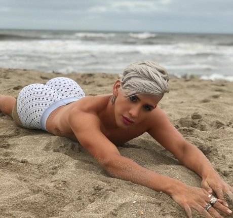 Brian Paz top freie archiv