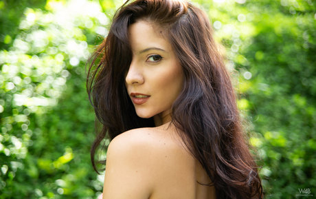 sommer trans onlyfans schöne archiv