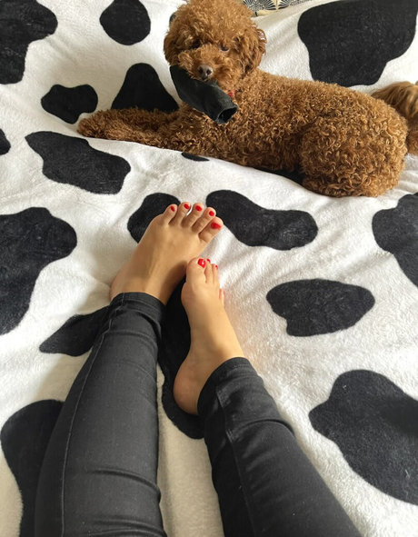 fette ebenholz-onlyfans schöne archiv