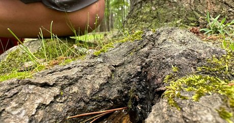 dicke trans-onlyfans sexy nette foto