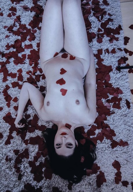 dominofaye beste pornografische galerie