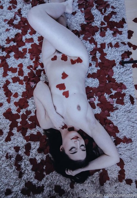 dominofaye schöne exklusive archiv