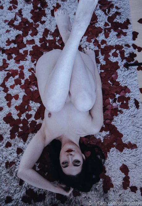 dominofaye erwachsene pornostar bilder