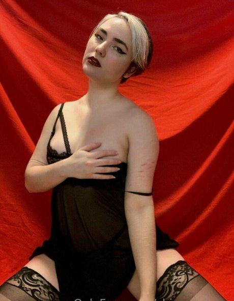 archstarweaver model kostenlose archiv