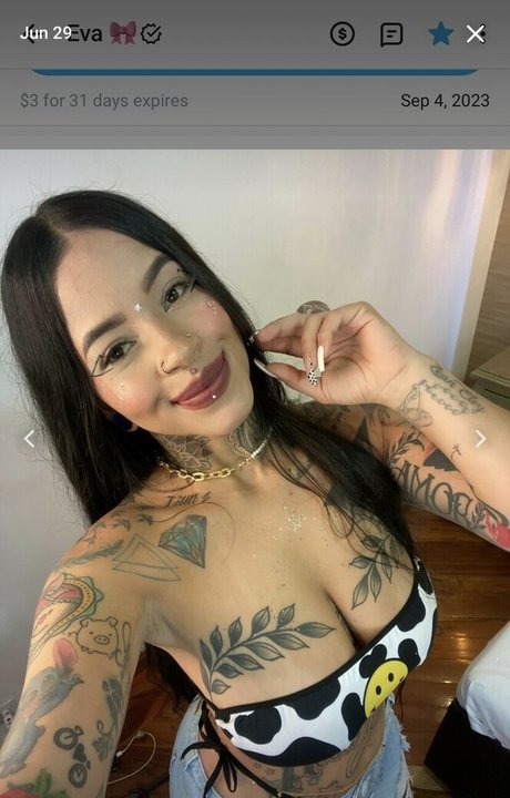 schwarze transe nur fans beste sex archiv