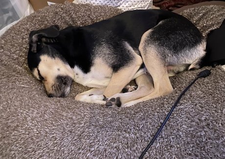 schlampe milf onlyfans hd galerie