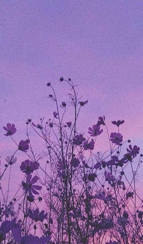 Honeybunnycos schöne nacktheit bilder