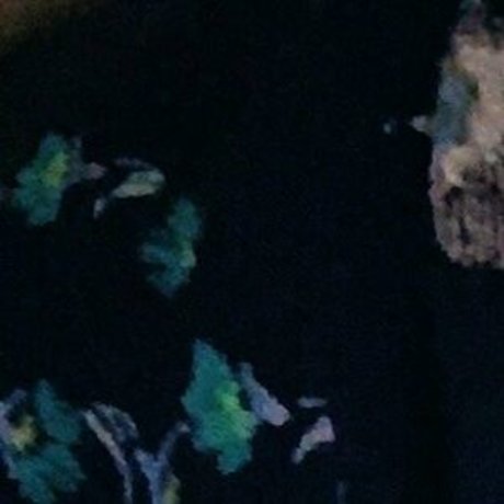 melo4free heiße akt foto