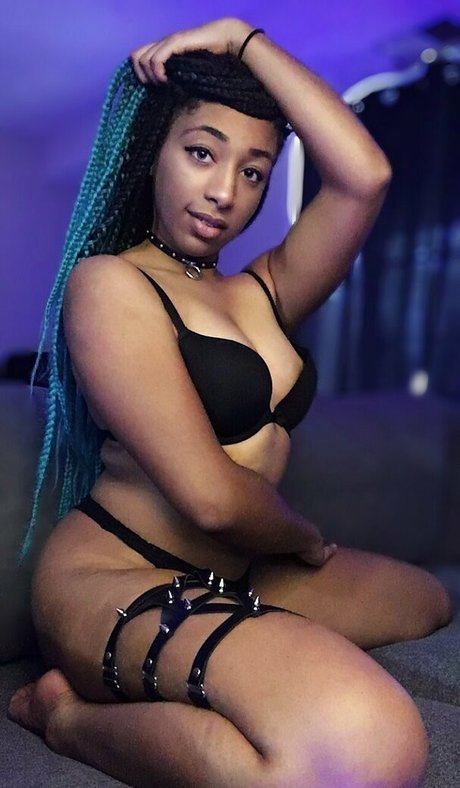 meowster top heiße bild