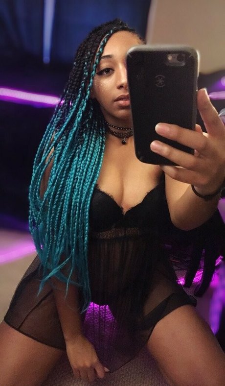 meowster hd erwachsene archiv