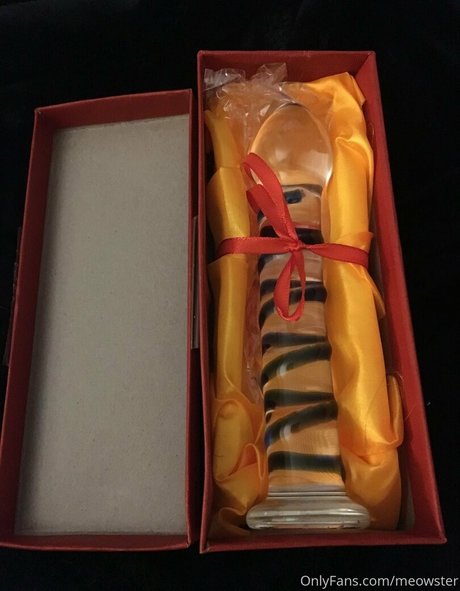 meowster xxx perfekte galerie