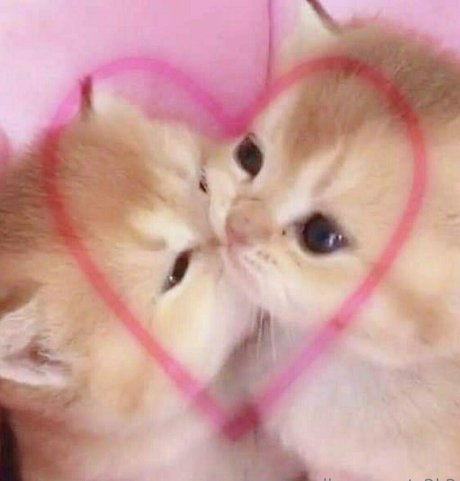 herbst-onlyfans hd nackt bilder