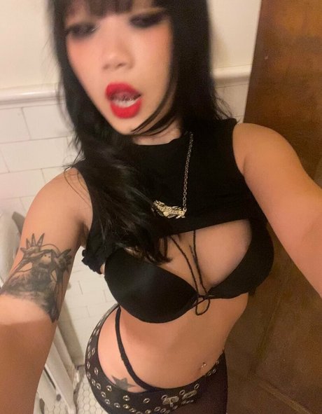 Vile922 hd schöne foto