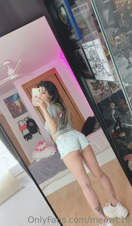 meewc18 pornostar kunst galerie