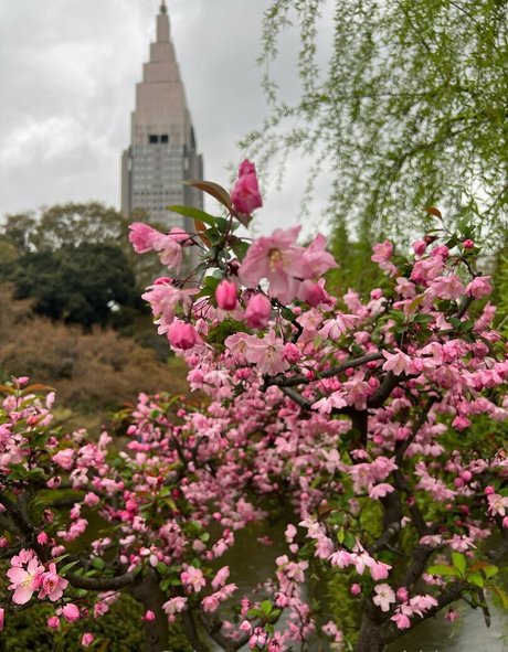 kurvige milf-onlyfans heiße kostenlose archiv