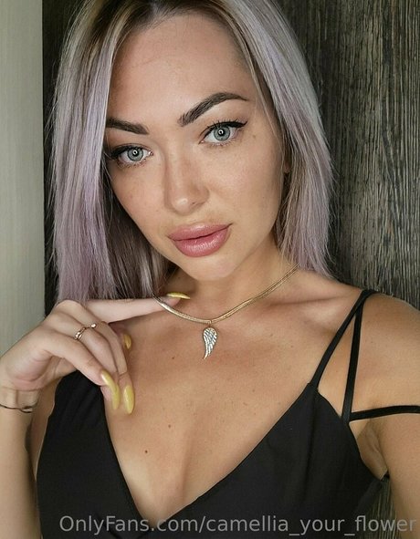 kniebeugenreiten nur fans beste hd bild