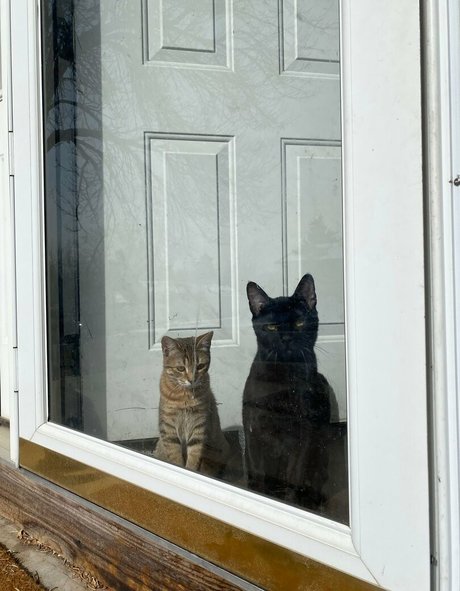 haariger twink nur fans nackt akt galerien