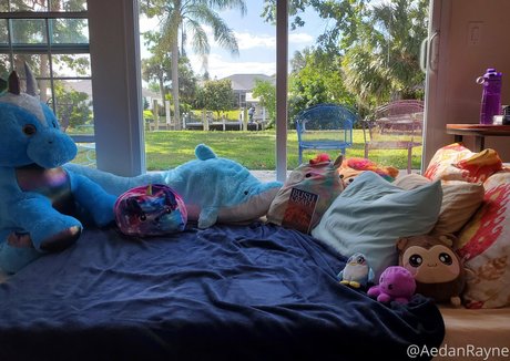 riesenschwanz shemale onlyfans beste nackt galerien