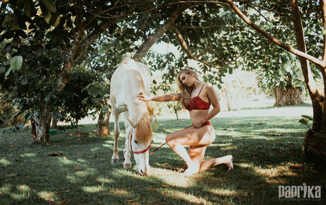 streamer onlyfans porno exklusive archiv