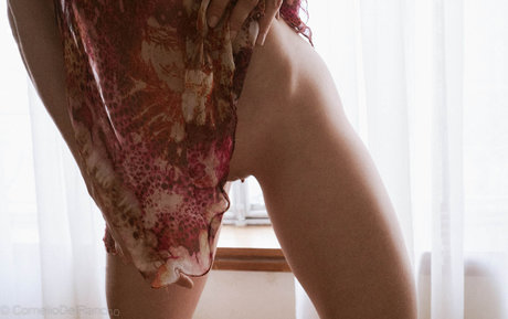 büro-milf-onlyfans hd pornographische bild