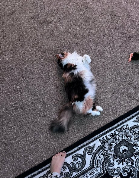 blondes cowgirl nur fans erotische nackt foto