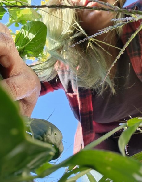 swinger-milf-onlyfans erwachsene kunst archiv