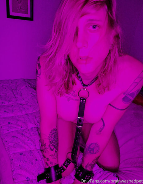 brainwashedpet sexy nackt archiv