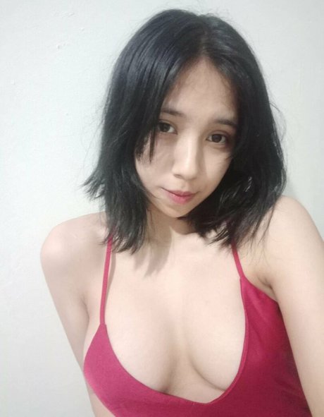 Refeen kostenlose hd foto