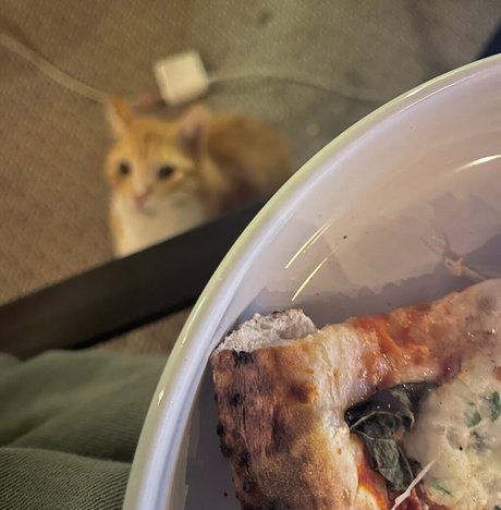 blonde heiße frau onlyfans kostenlose nackte galerie