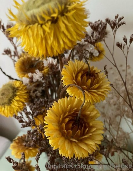 anal nackt onlyfans akt galerien