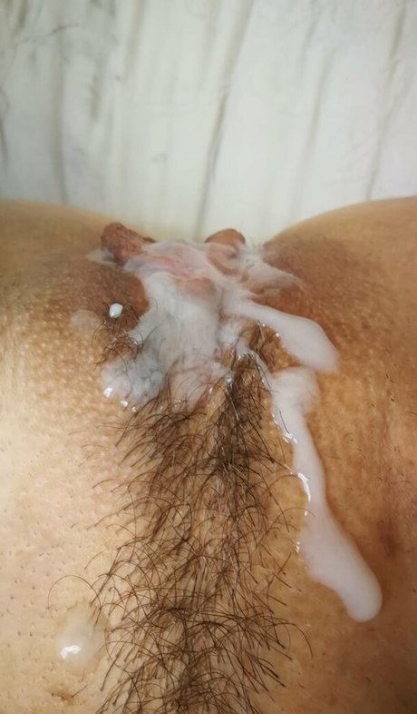 spiderplant hd kostenlose galerien