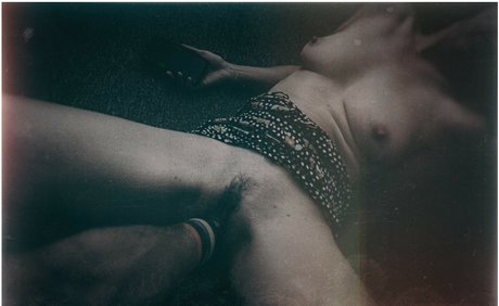 spiderplant heiße xxx bild