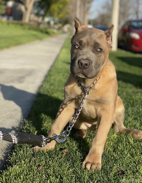 transen deepthroat onlyfans hd nacktheit archiv