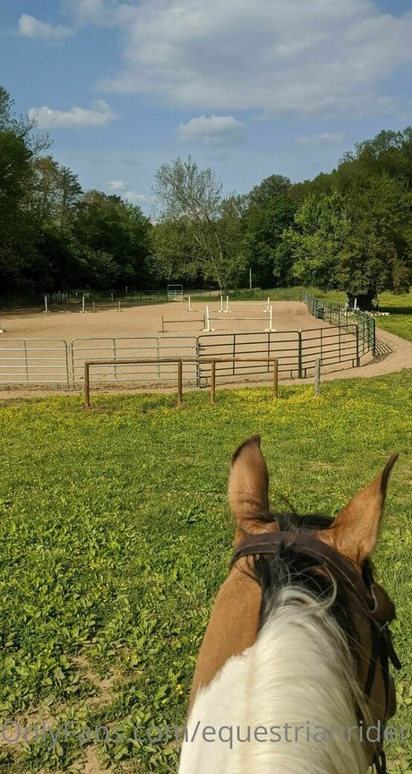 durchschnittliche onlyfans xxx sex bild