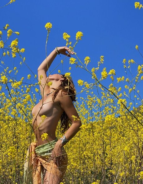 Jadegrce perfekte pornographische archiv