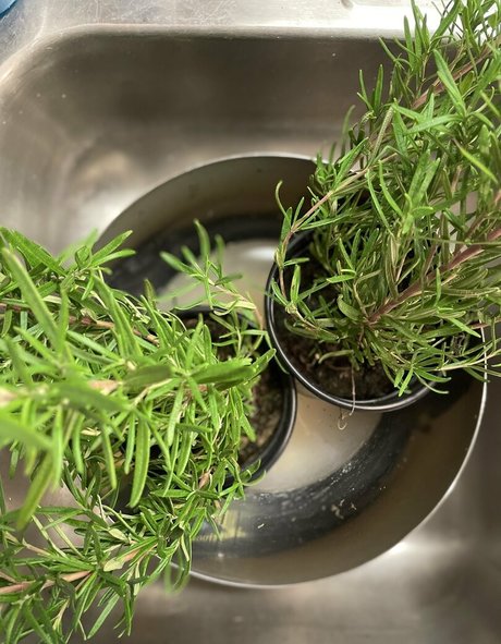 große titten college onlyfans perfekte kunst archiv